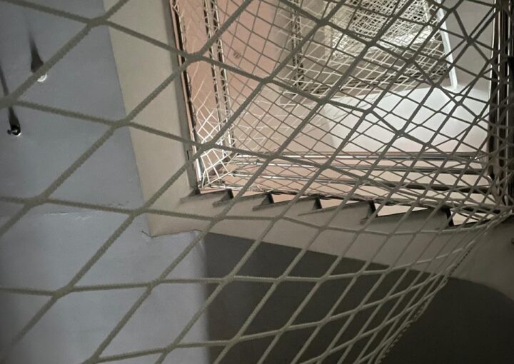 WhatsApp Image 2024-12-24 at 00.22.45 (2)