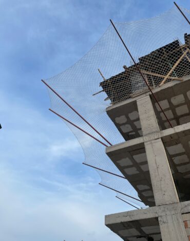 WhatsApp Image 2025-01-27 at 11.50.51