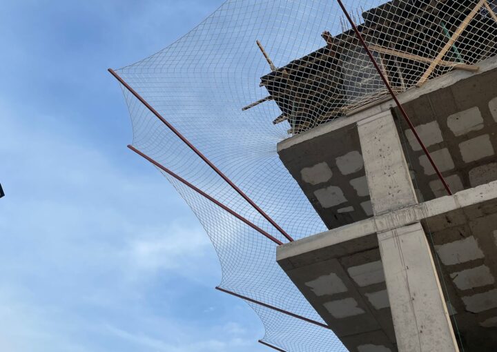 WhatsApp Image 2025-01-27 at 11.50.51