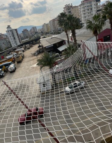 WhatsApp Image 2025-01-27 at 11.50.53