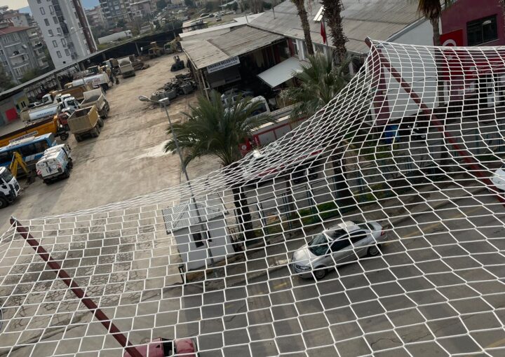 WhatsApp Image 2025-01-27 at 11.50.53