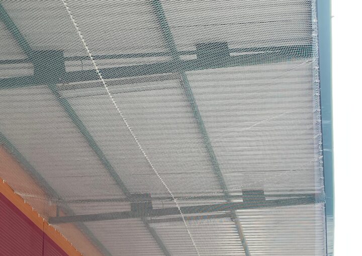 WhatsApp Image 2025-04-30 at 17.09.45